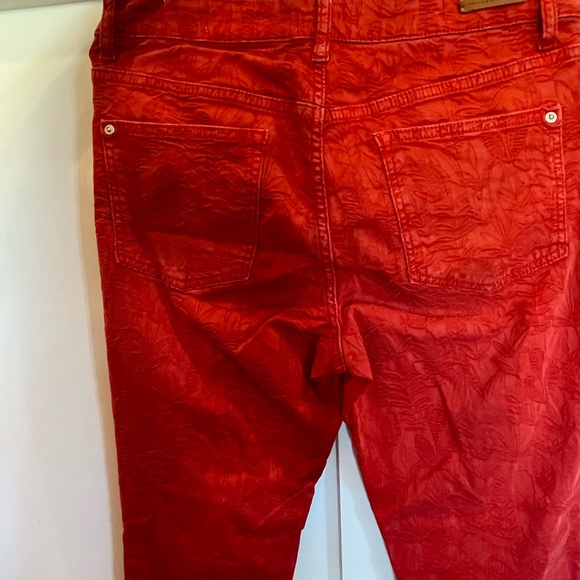 Pilcro & The Letterpress from Anthropologie Red Floral High Rise Skinny Jean- 30 - Picture 11 of 14